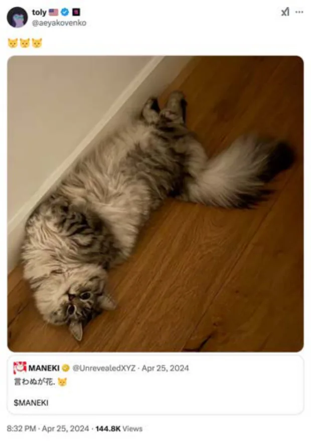 Post by Anatoly Yakovenko (@aeyakovenko) quoting a MANEKI post, 144.8K views